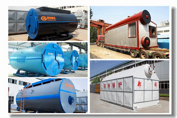 生物質(zhì)立式兩用蒸汽鍋爐有哪些型號？