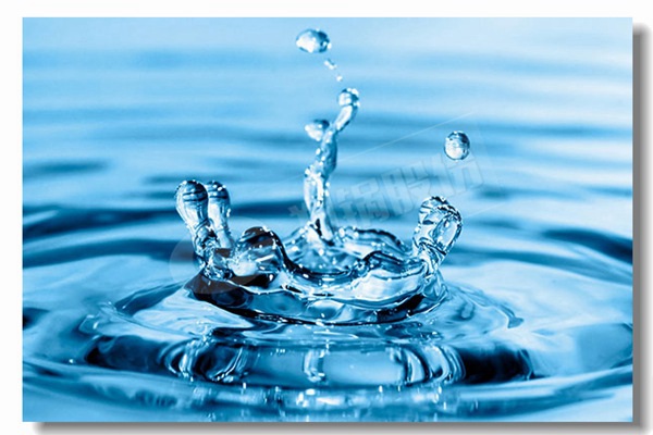 爐排爐同cfb鍋爐比較有什么區(qū)別？