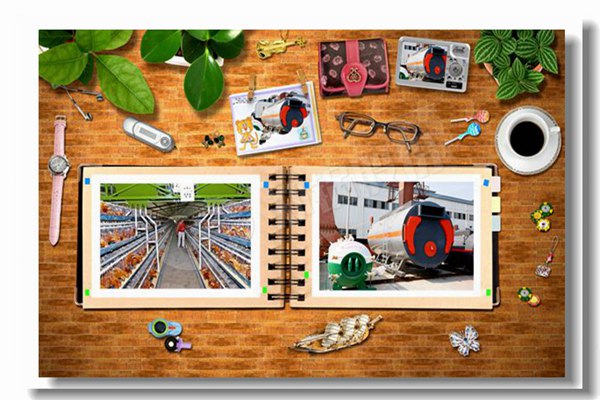 循環(huán)流化床鍋爐床溫該如何進(jìn)行調(diào)整？