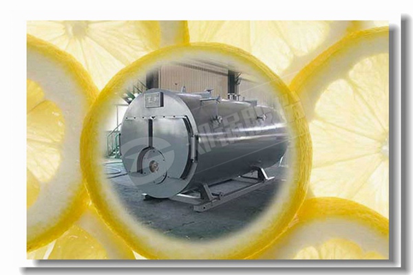 蒸汽鍋爐燒煙煤與無煙煤比較有什么區(qū)別？