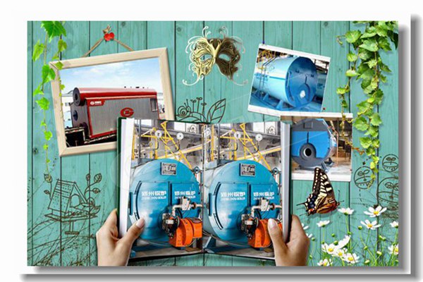 雙燃料蒸汽鍋爐,壓力16kg