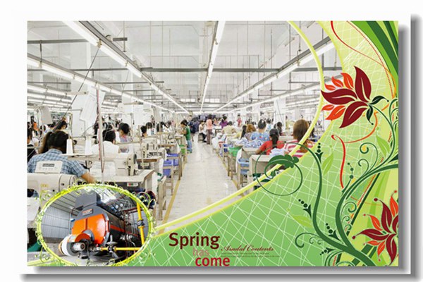 10噸wns系列燃?xì)庹羝仩t