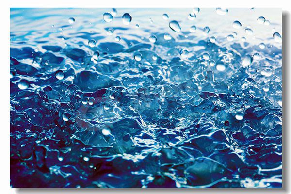 兩噸生物質(zhì)鍋爐多少錢？